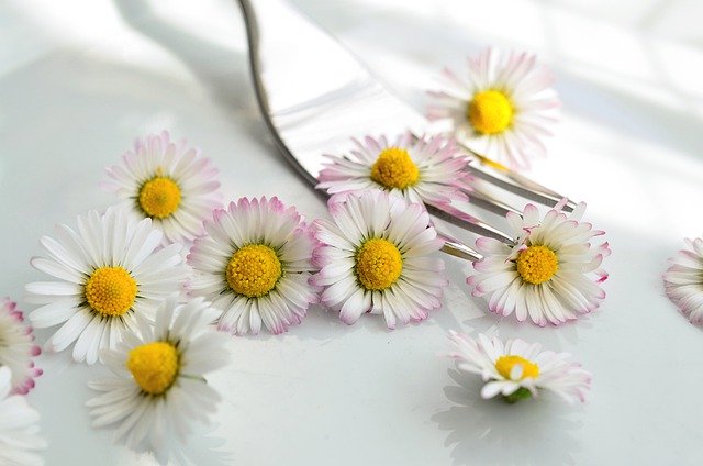 Les fleurs sauvages comestibles : des atouts culinaires et thérapeutiques